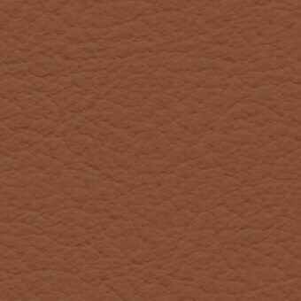 Brown leather texture sample with mottled, irregular patterns and a matte finish, identified as “bross > leather > col. 245.”